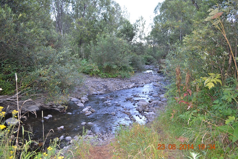 DSC_1021.JPG