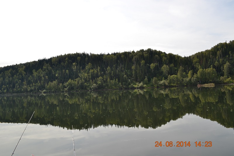 DSC_1212.JPG