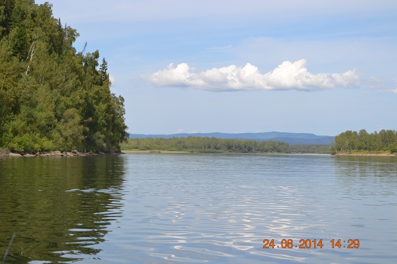 DSC_1221.JPG
