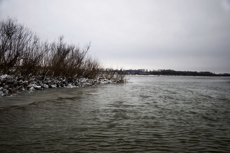 DSC_5947.jpg