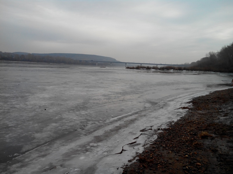 IMG_20141107_124059.jpg2.jpg