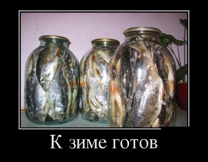 demotivatory_na_sredu_30_foto_22.jpg