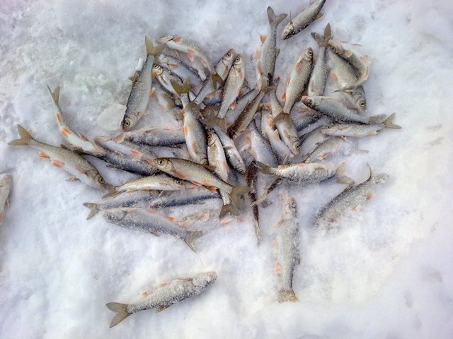 15022015350.jpg