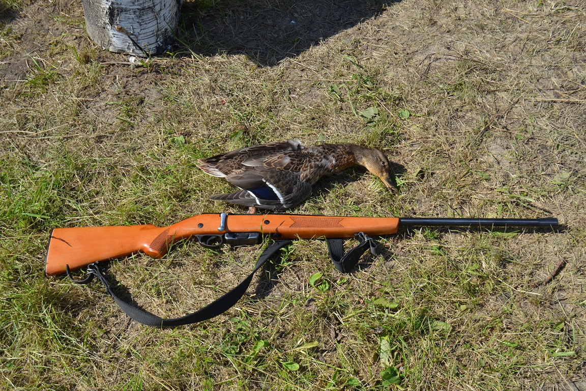 DSC_0004.JPG