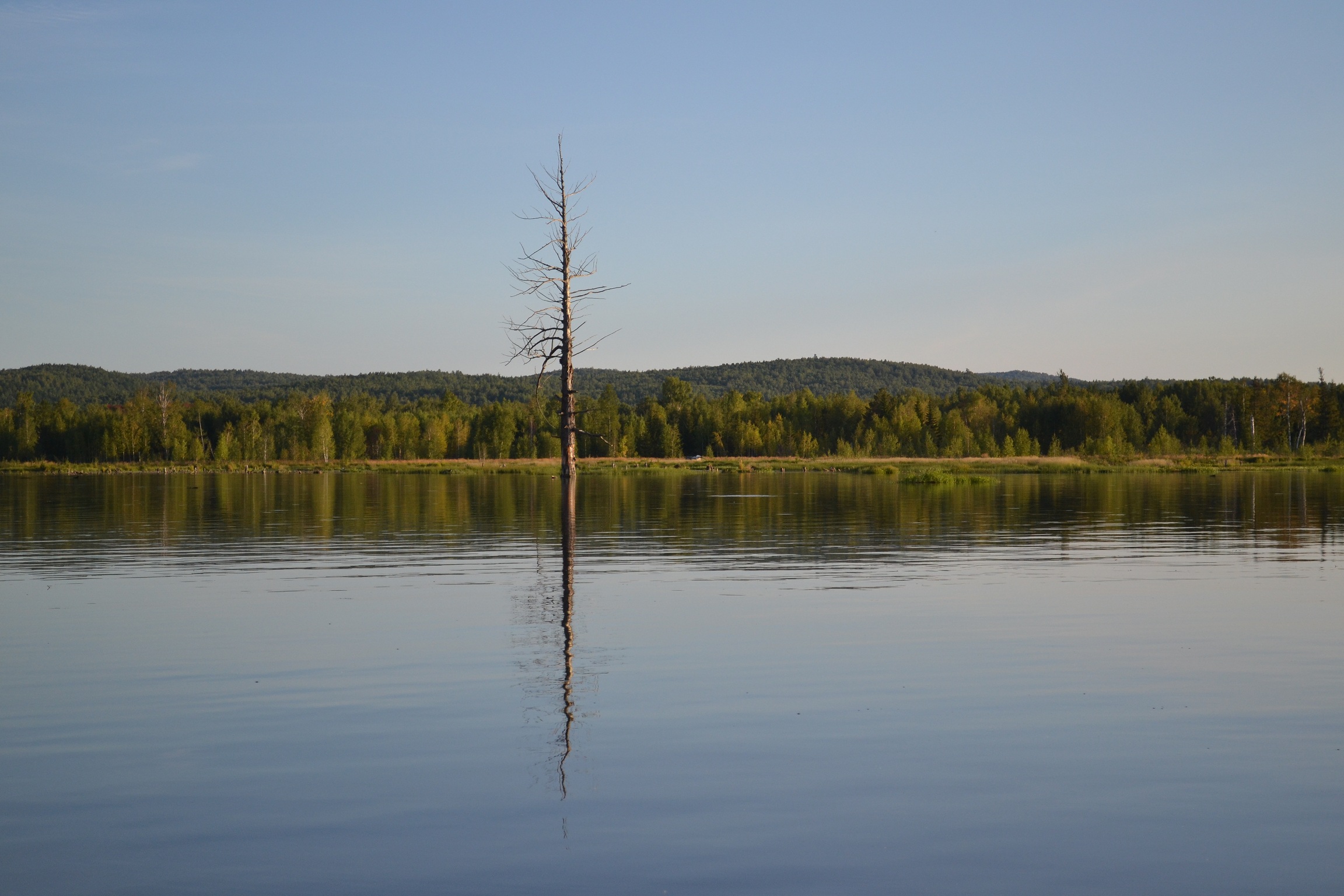 DSC_0113.JPG