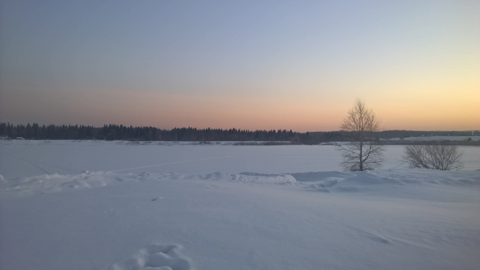 WP_20160124_09_05_46_Pro.jpg
