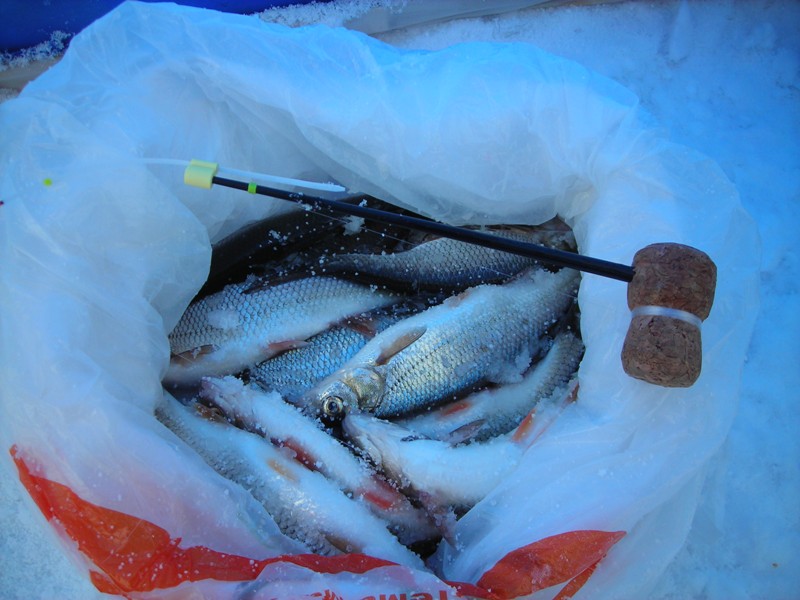 DSCN4560.JPG
