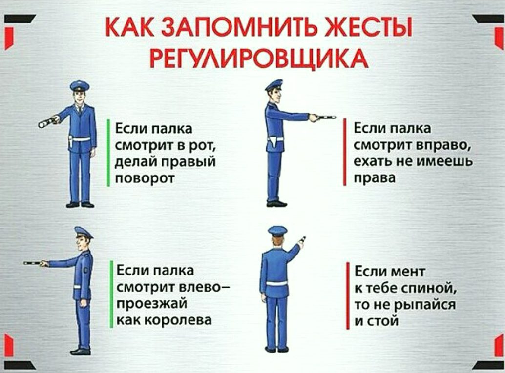 image (12).jpg