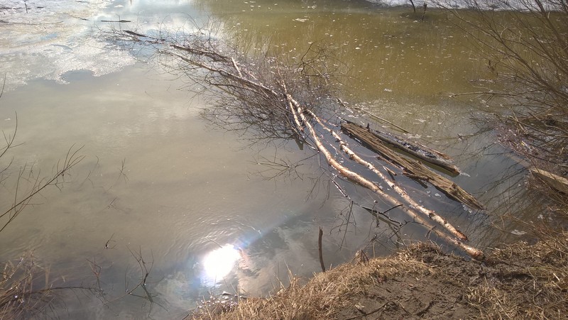 WP_20160405_14_05_47_Pro{f%.png}-800.jpg
