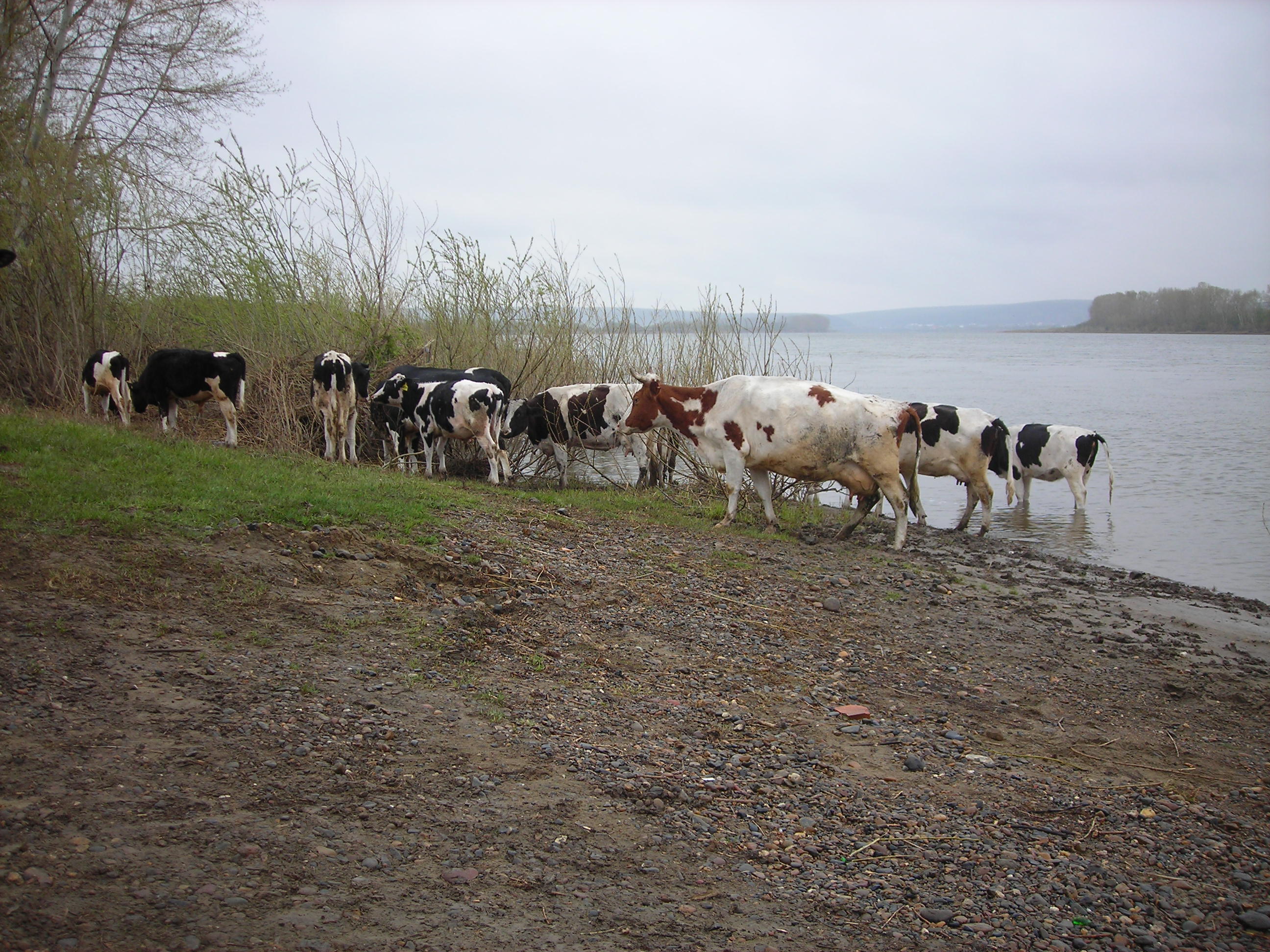 DSCN4662.JPG