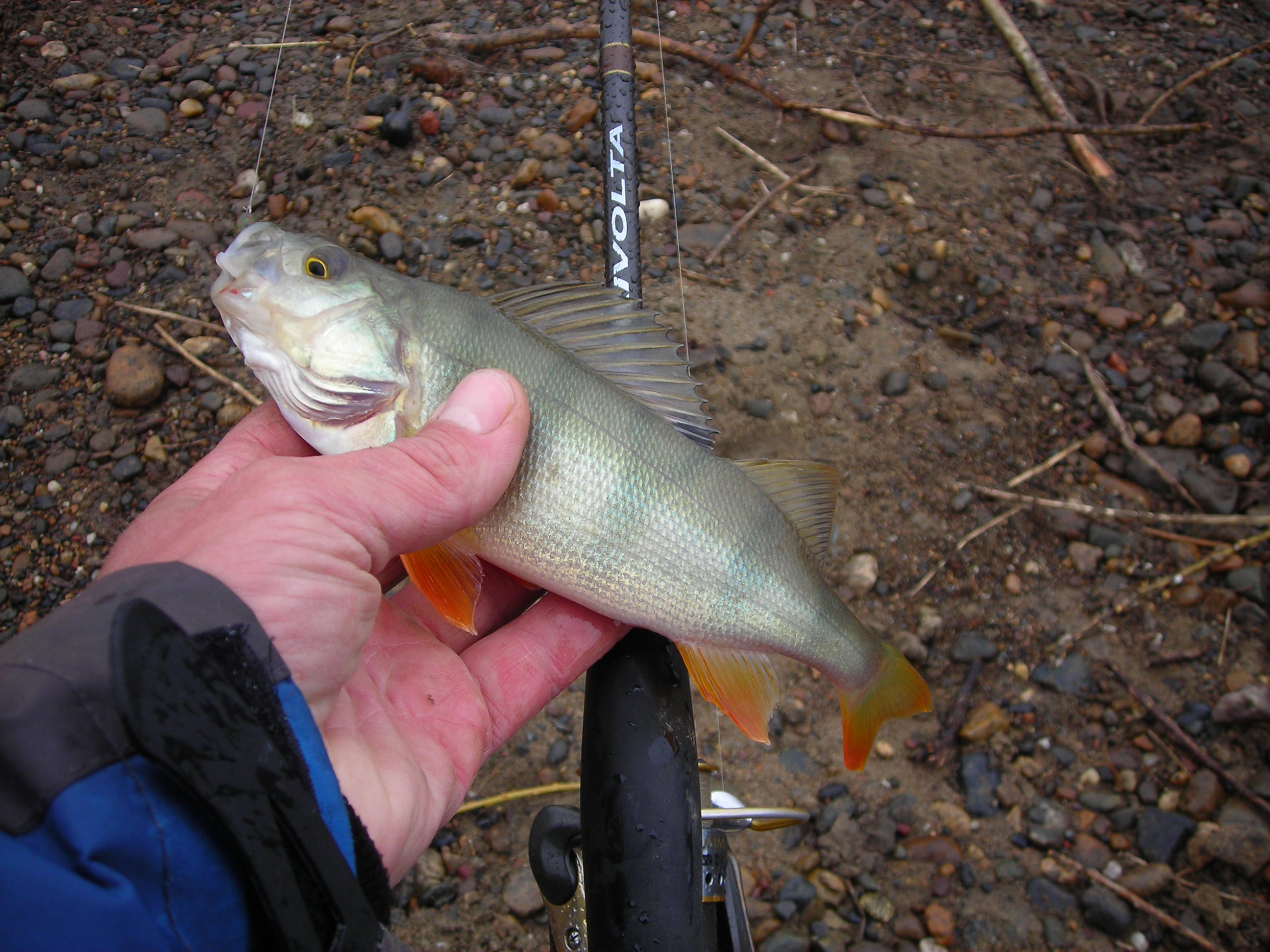 DSCN4660.JPG
