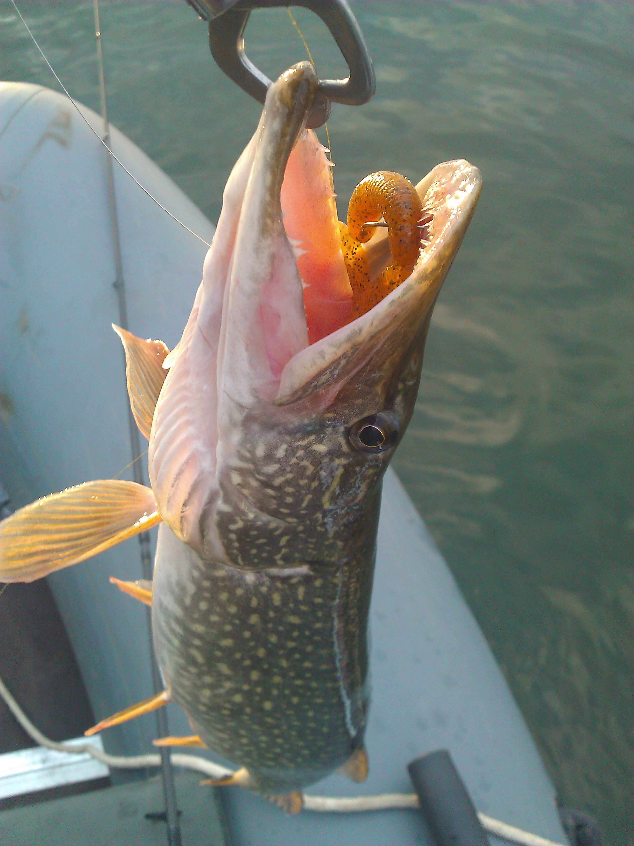 WP_001048.jpg
