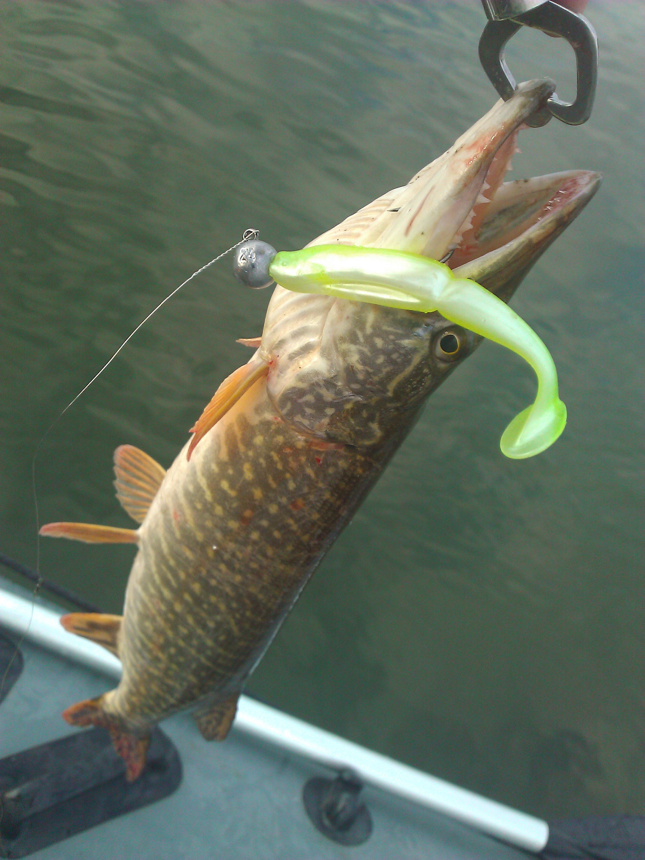 WP_001054.jpg