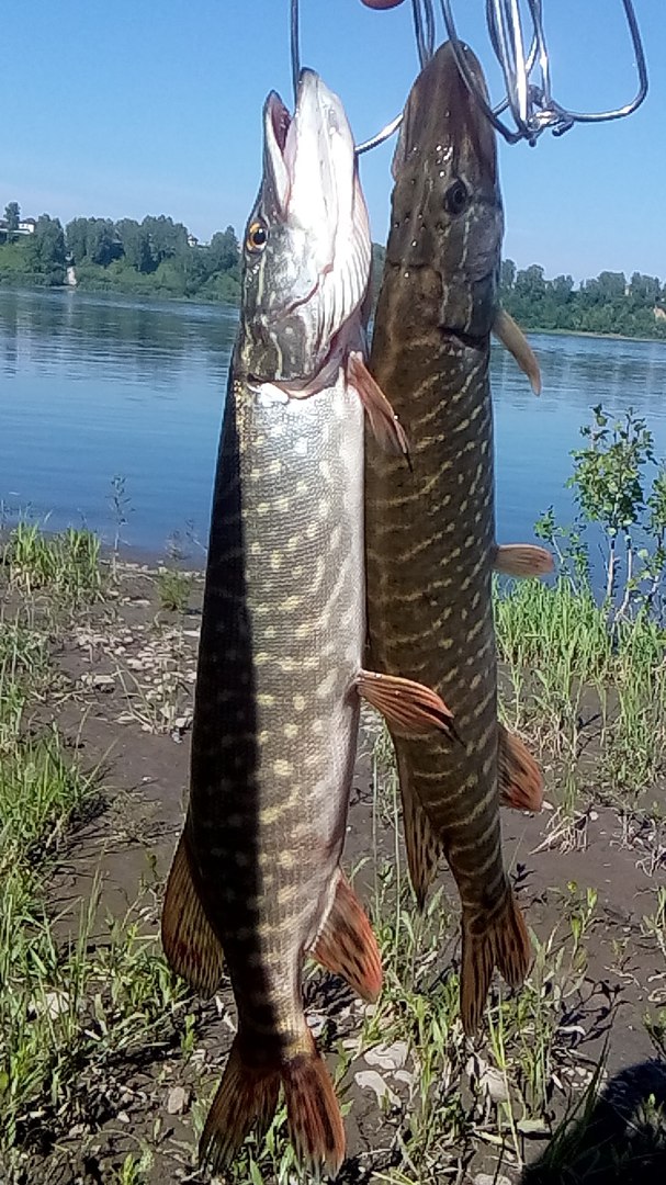 день1