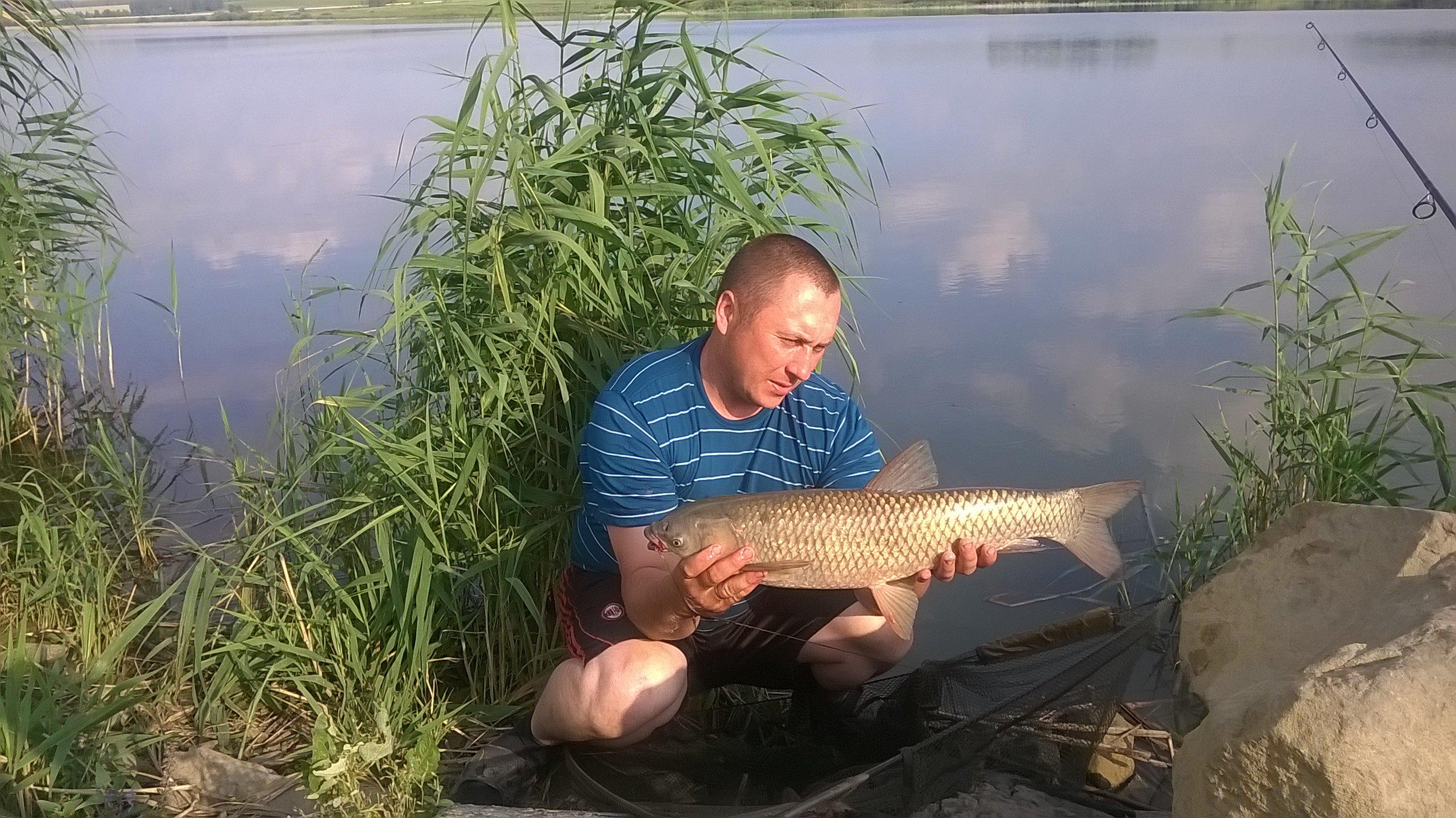 WP_20160713_08_15_22_Pro.jpg