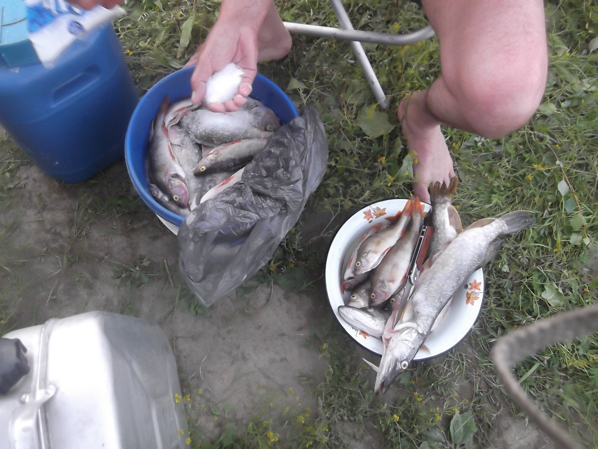 DSCF4078.JPG