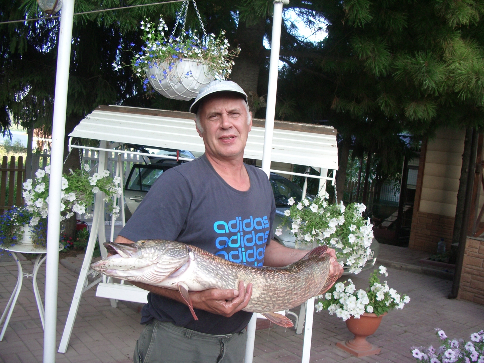 IMGP5044.JPG