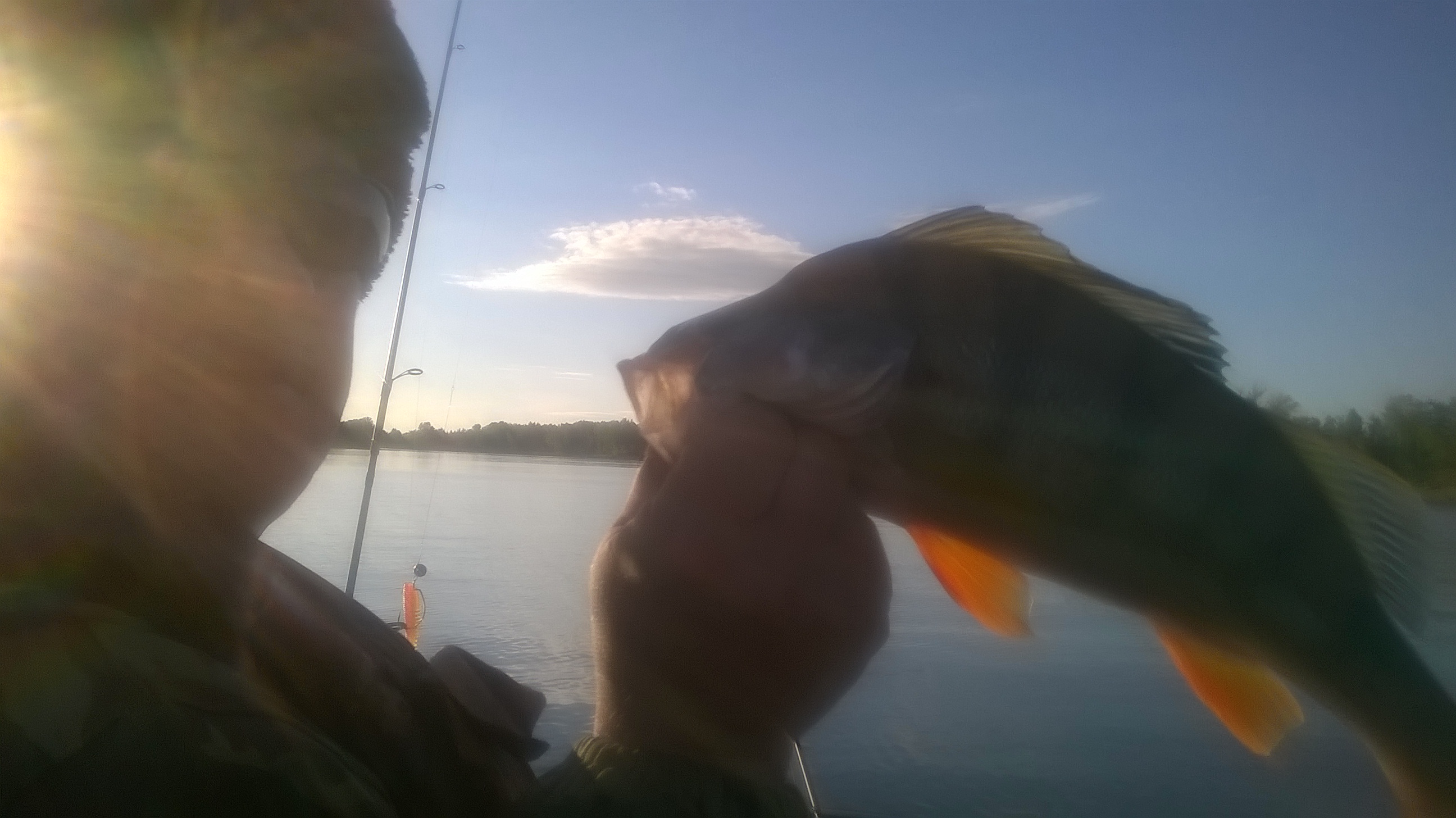 WP_20160822_19_33_35_Pro.jpg