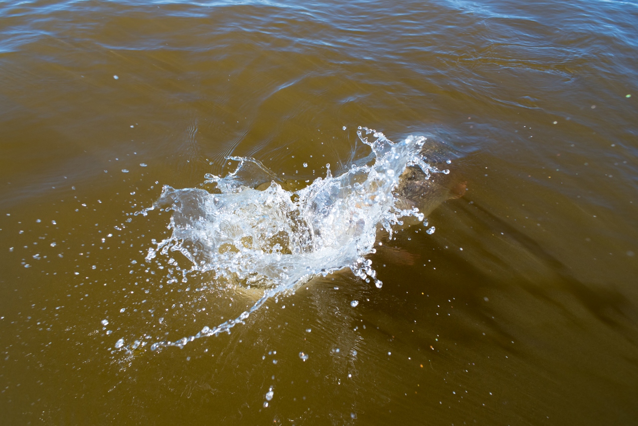 DSC_1886.jpg