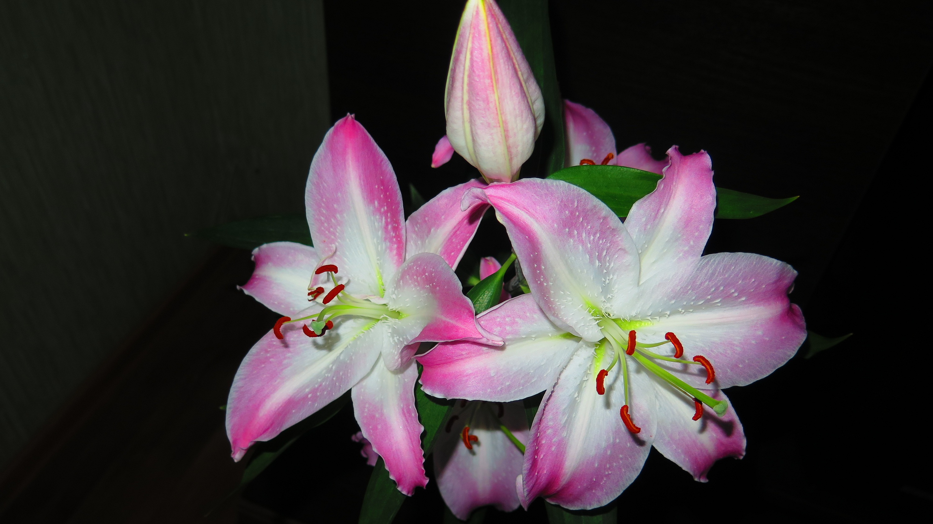 IMG_7436.JPG