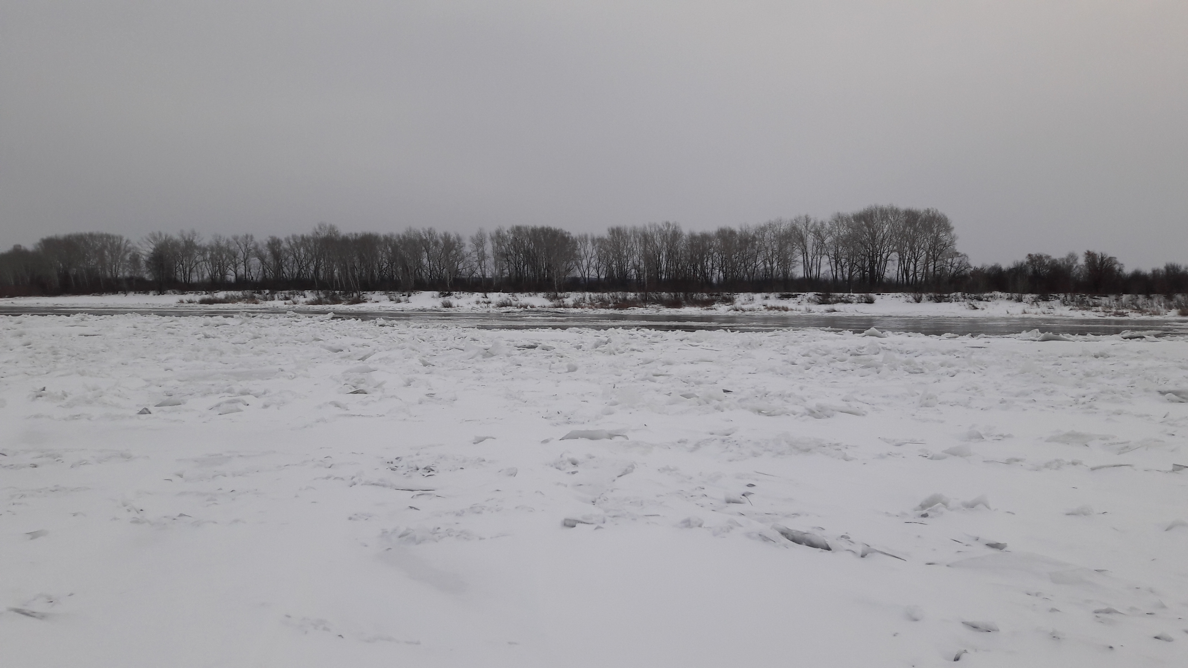 IMG-1478656744522-V.jpg