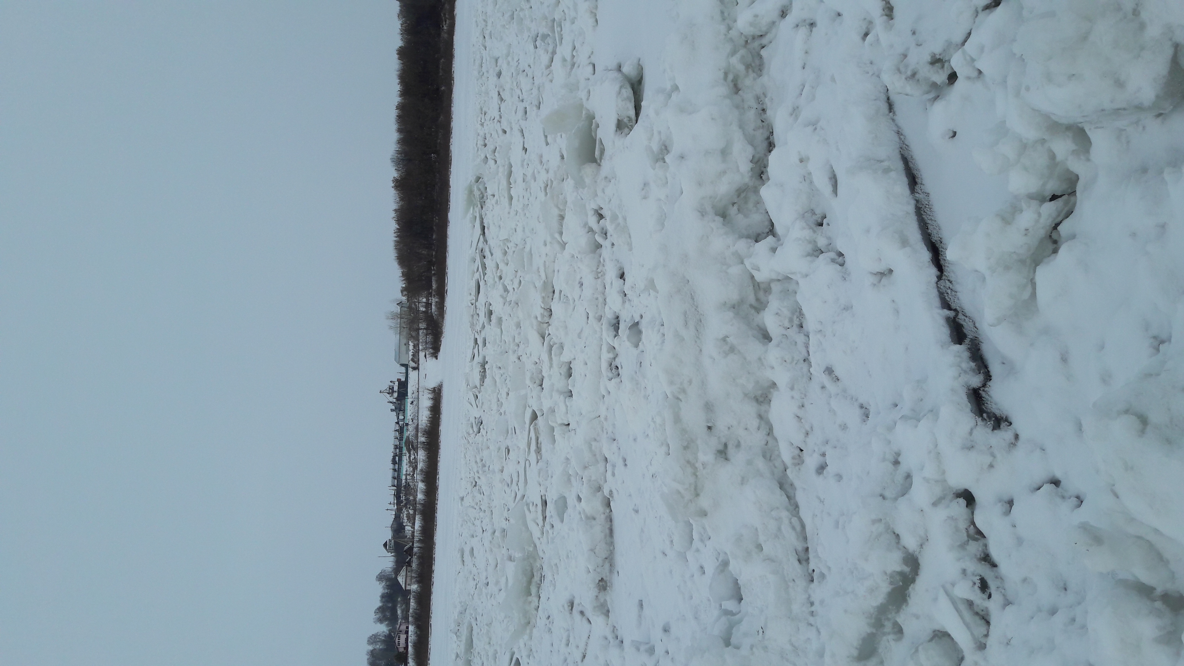 IMG-1478660715266-V.jpg