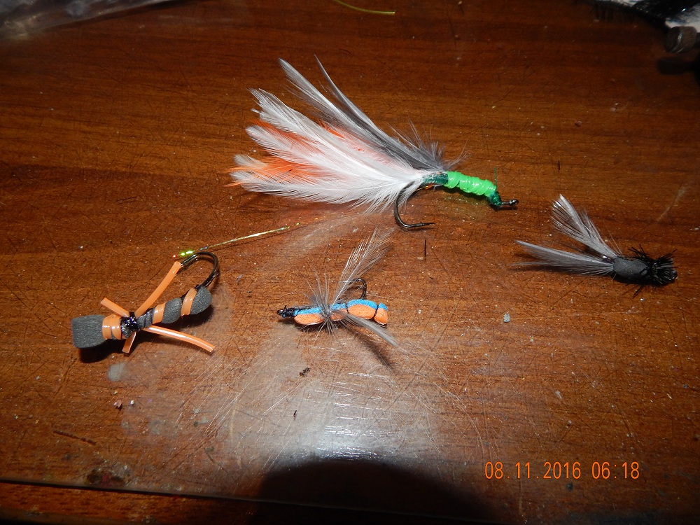 DSCN6600.jpg