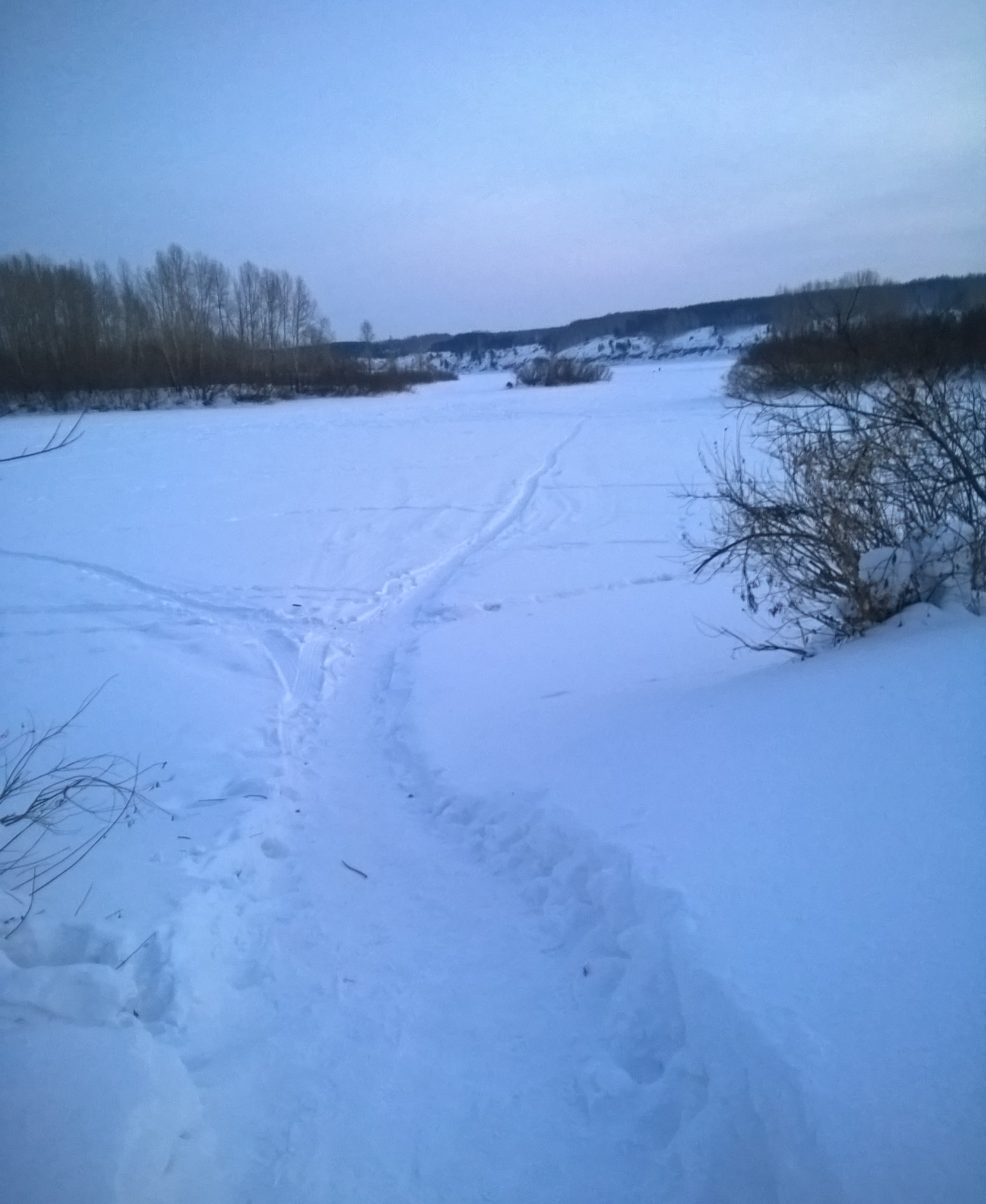 WP_20170205_08_40_10_Pro.jpg