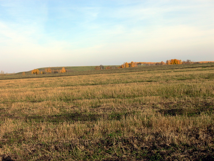 6710462.jpg