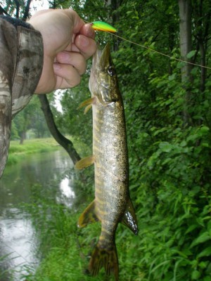 DSCN2318.jpg