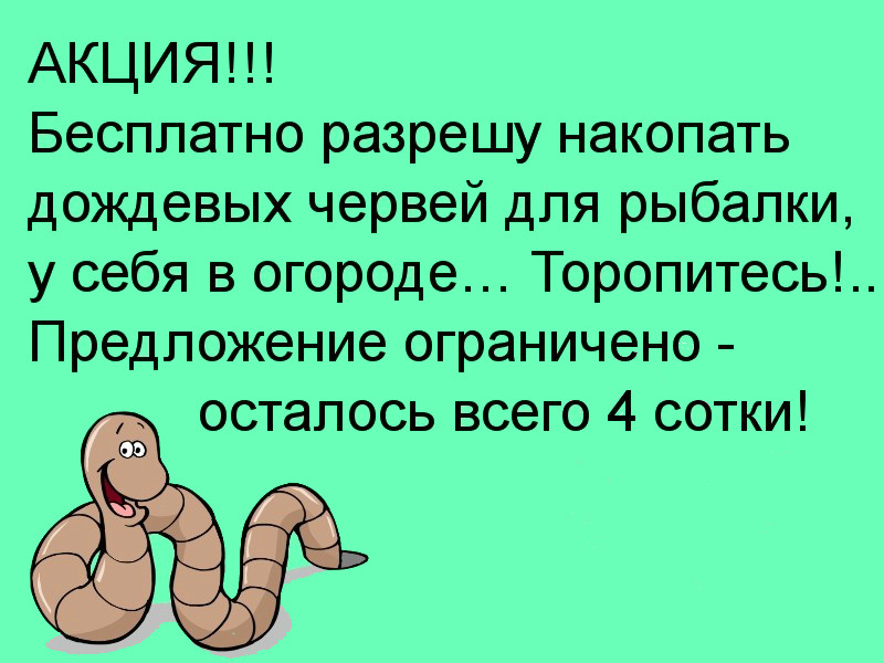 image (6).jpg