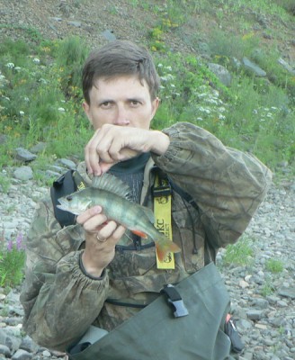 окунь.jpg