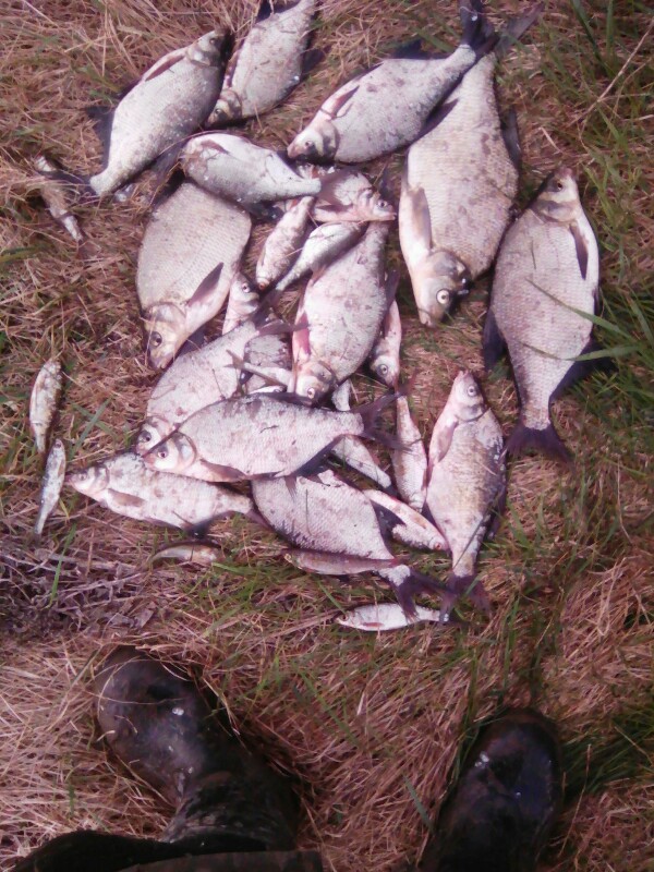 IMG-20170607-WA0001-600x800.jpeg