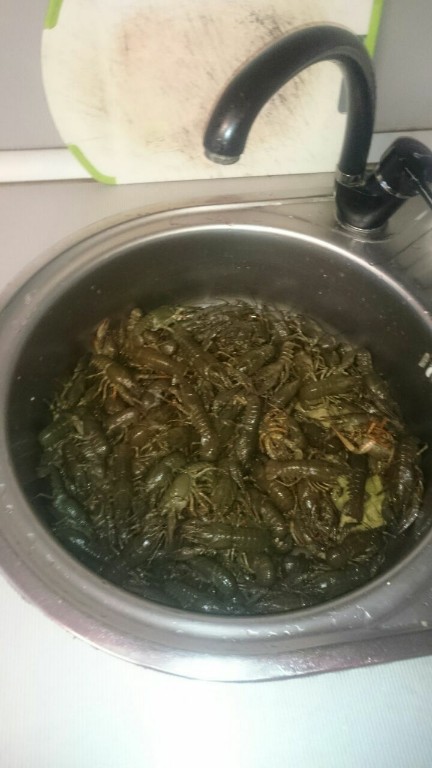 раки.jpg