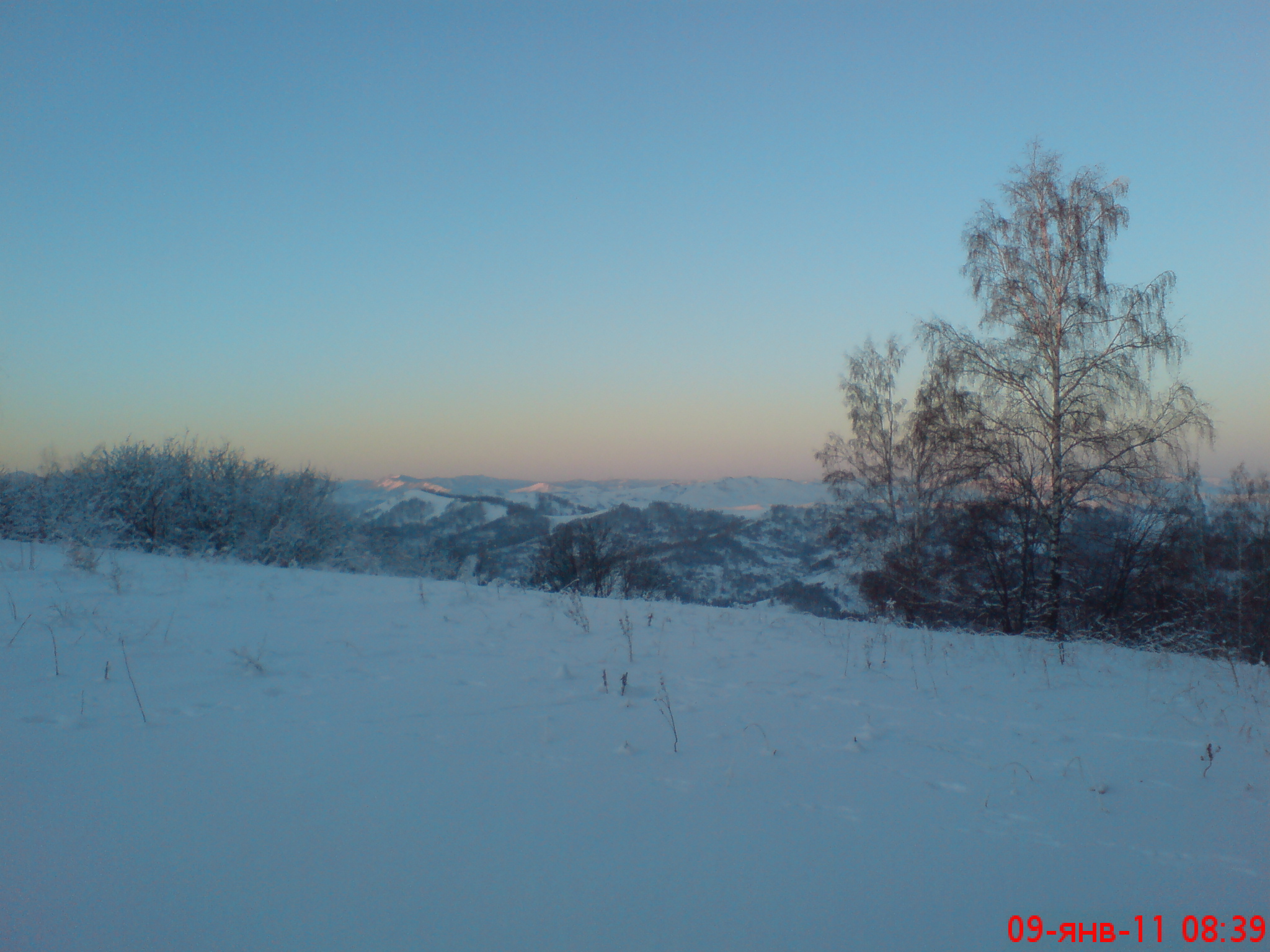 DSC02220.JPG