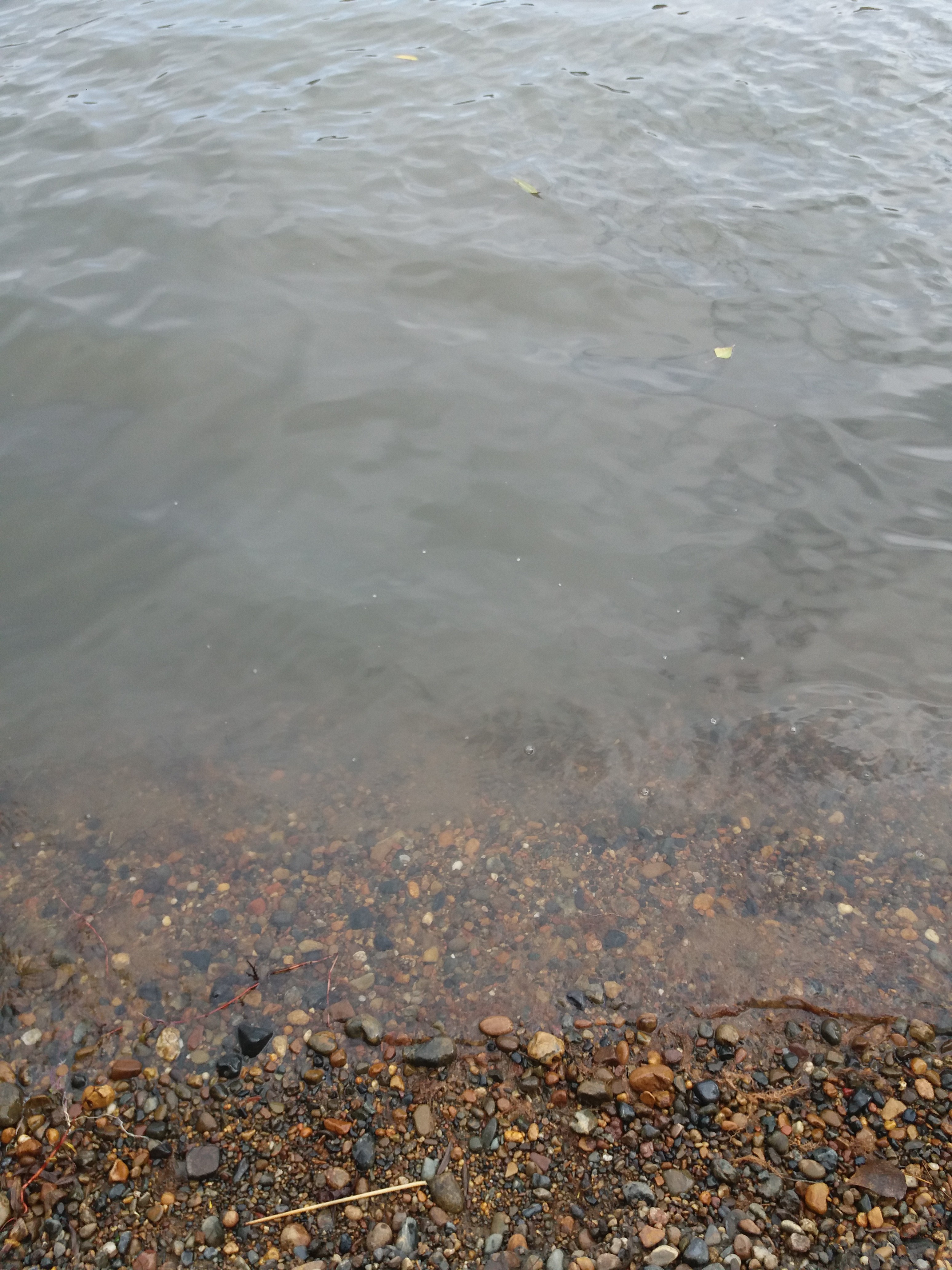 20170929_111848.jpg