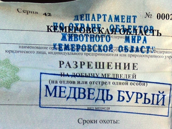 45.jpg