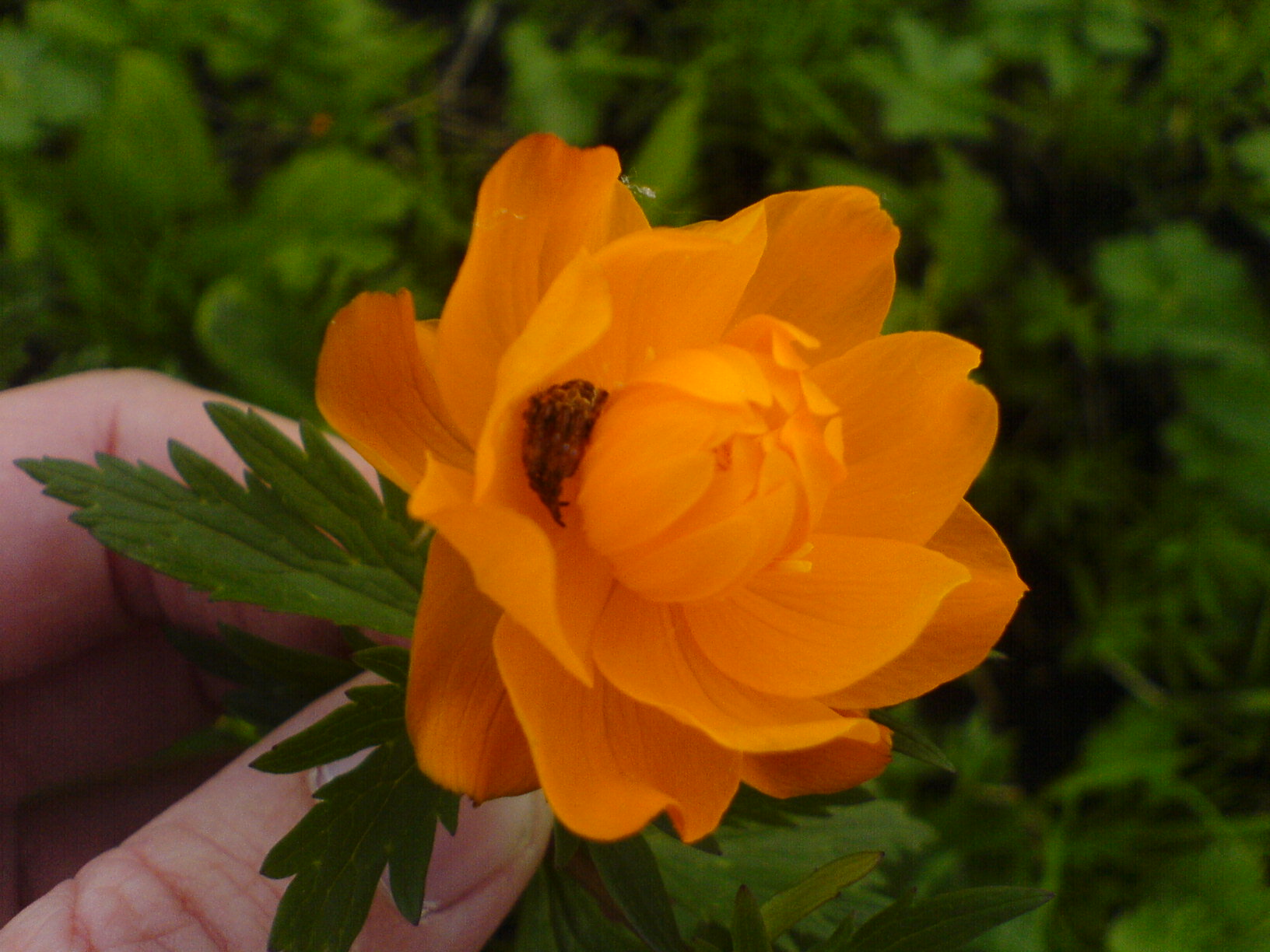 DSC00853.JPG