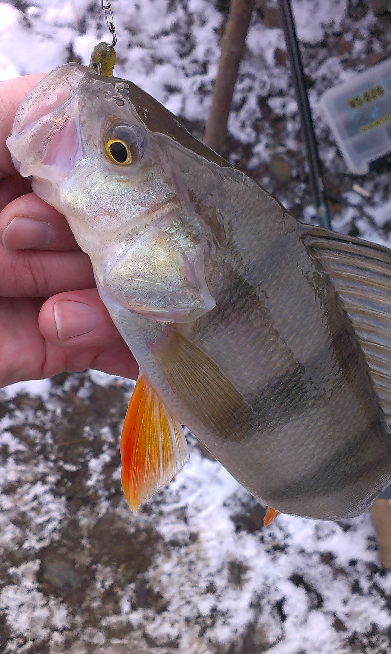 IMAG0568.jpg