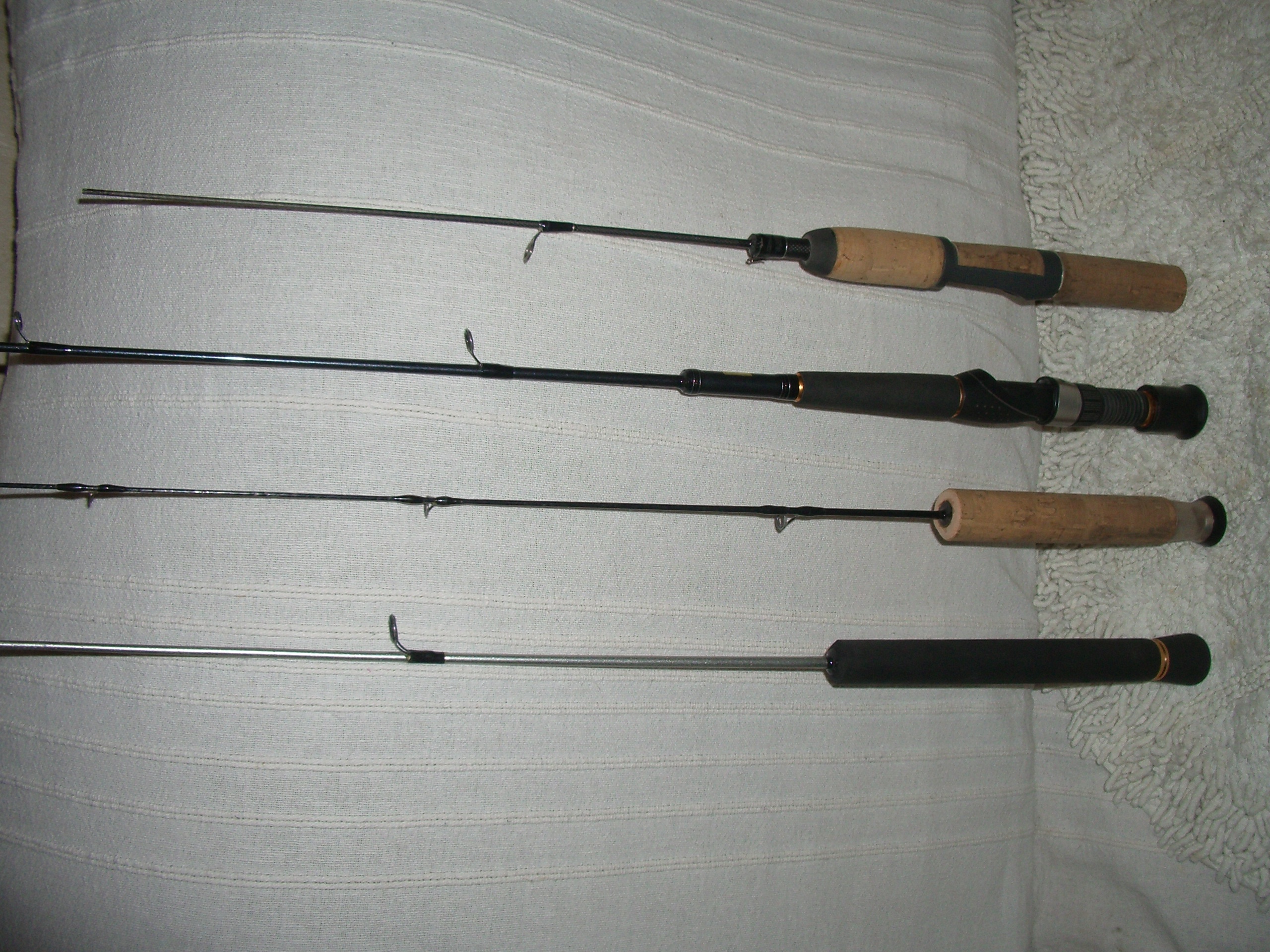 IMGP6543.JPG