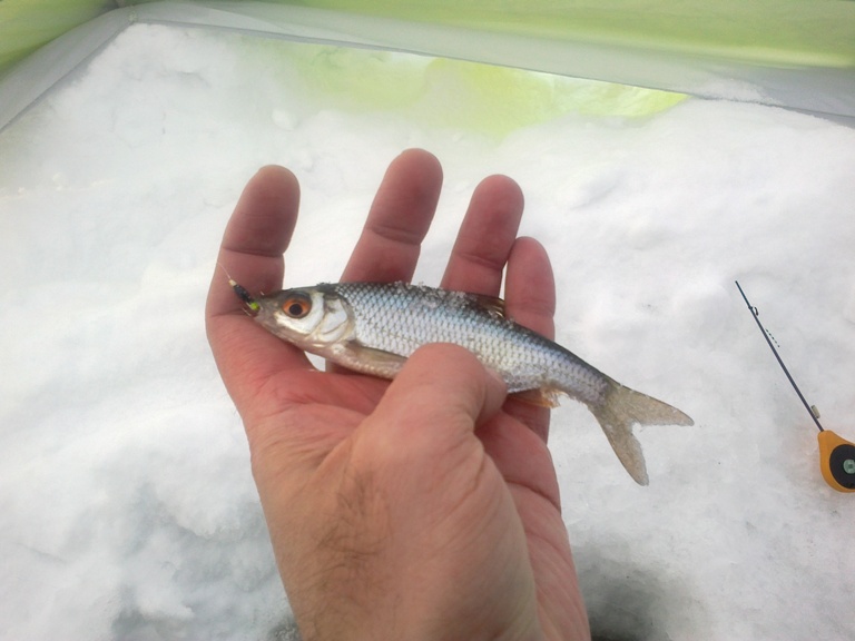 040220181009-1.jpg