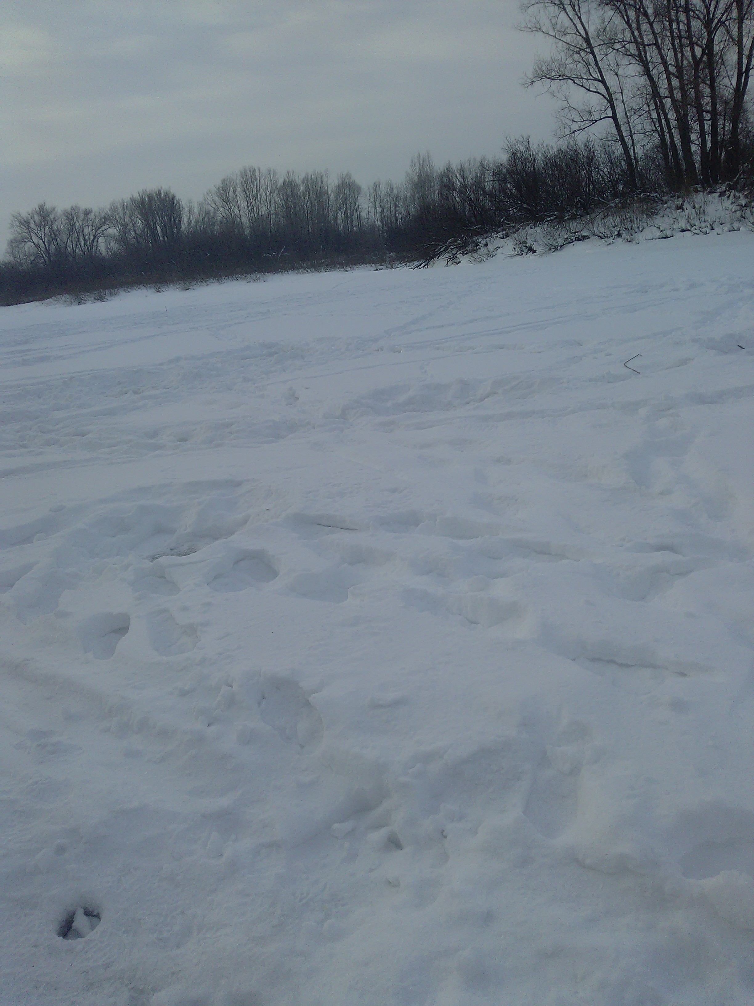 P_20180206_172811.jpg