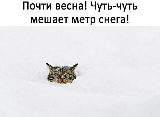 весна.jpg