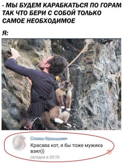 кот2018.jpg