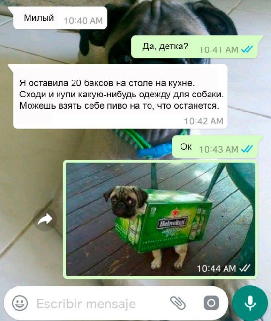 пиво2018.jpg
