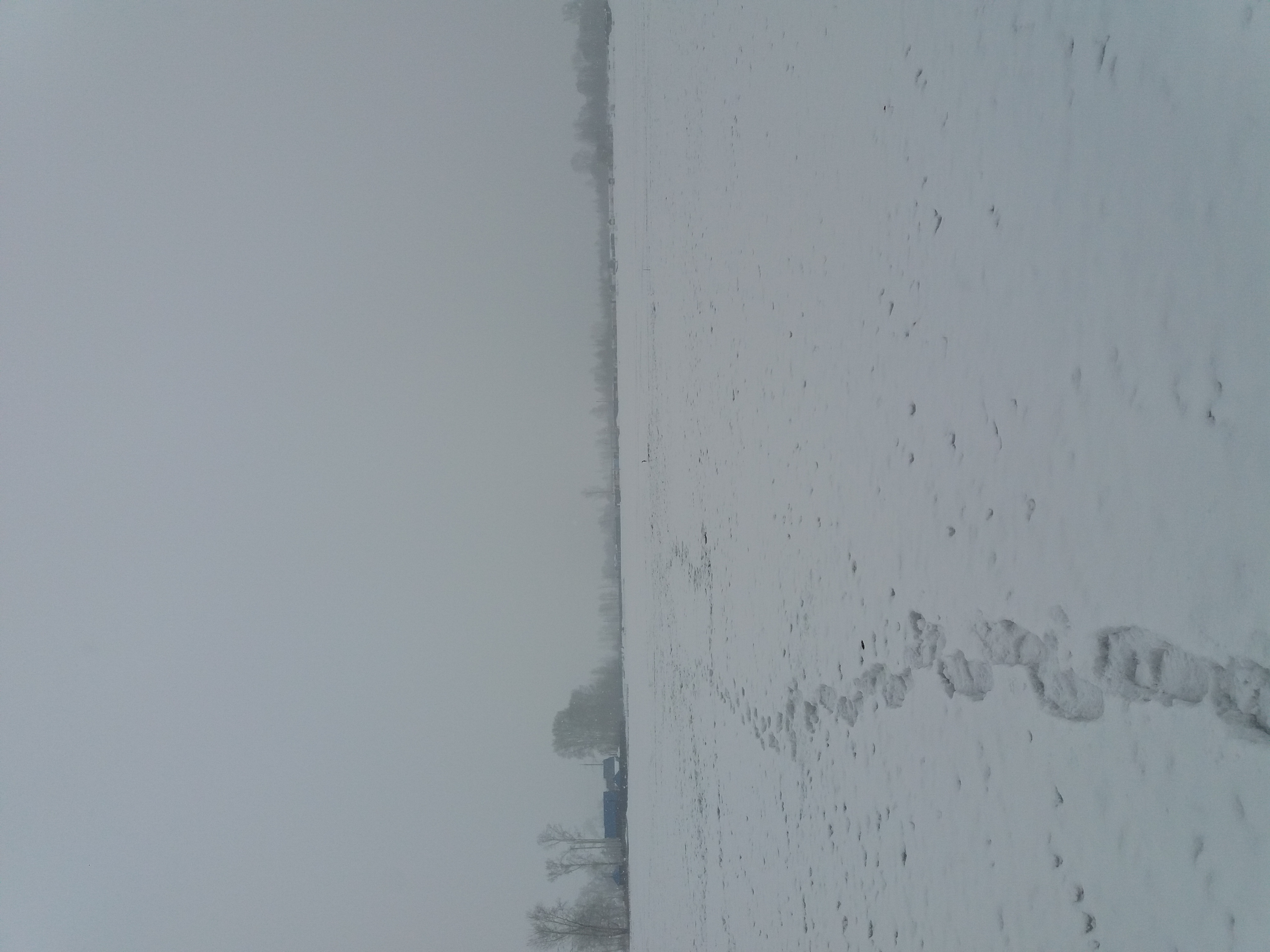 20180321_133744.jpg