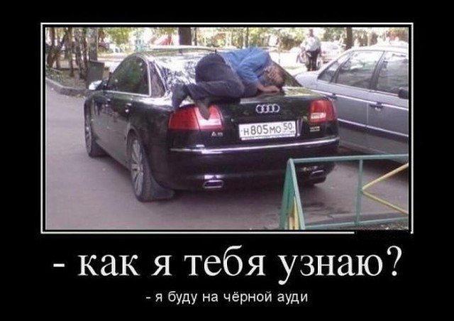 ауди.jpg