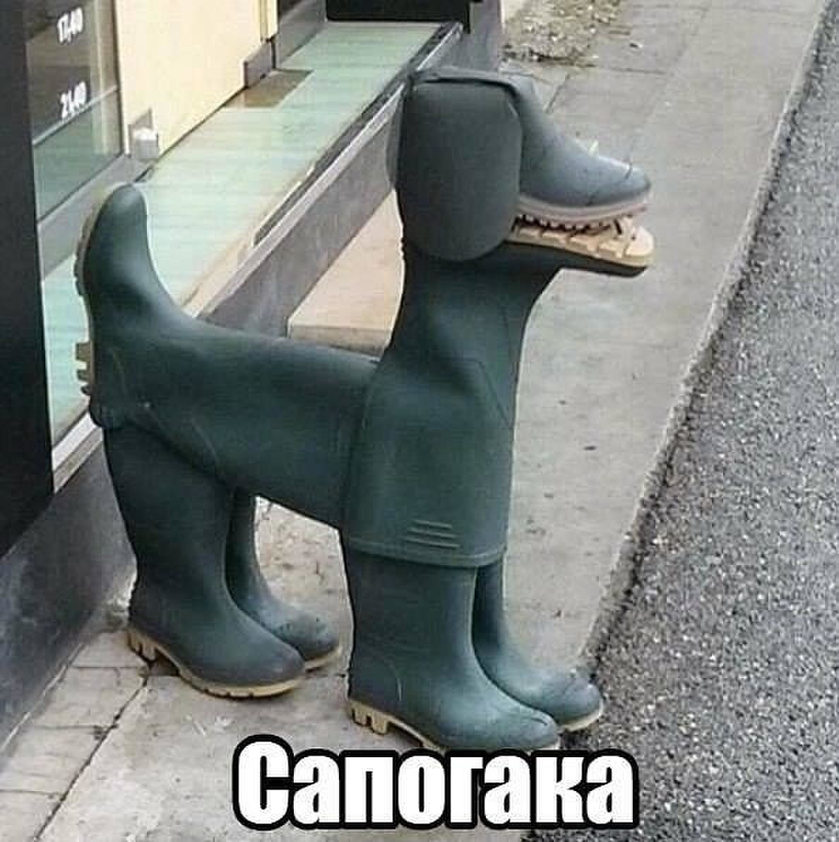 сапогка.jpg