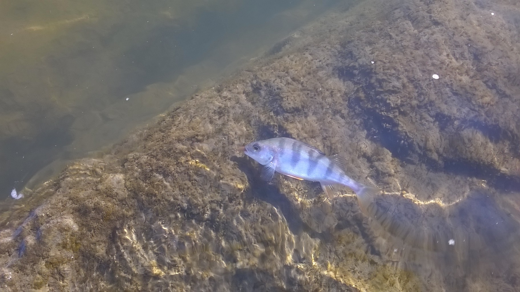 WP_20181026_11_35_09_Pro.jpg