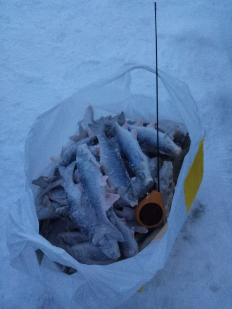 IMG-20190106-WA0001.jpg